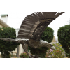 wrought iron eagle